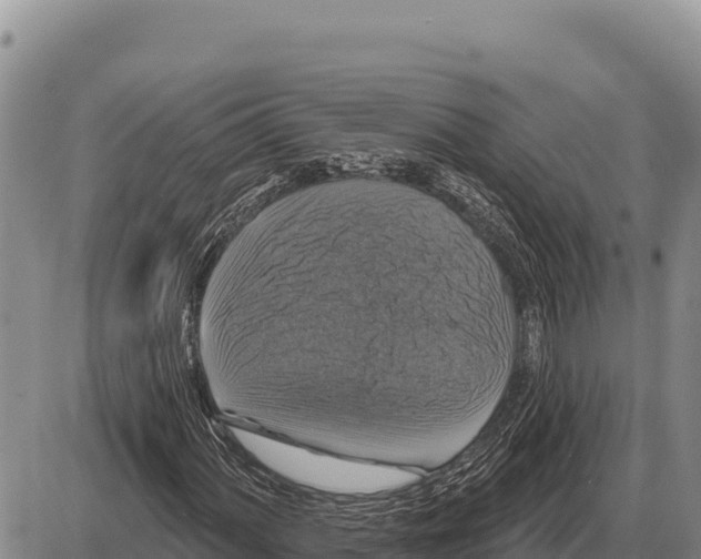 X0000086301060200704271821