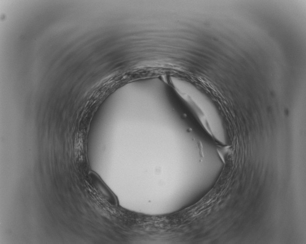 X0000086301062200704271821