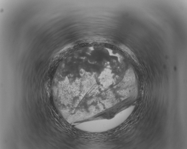 X0000086301063200704271821