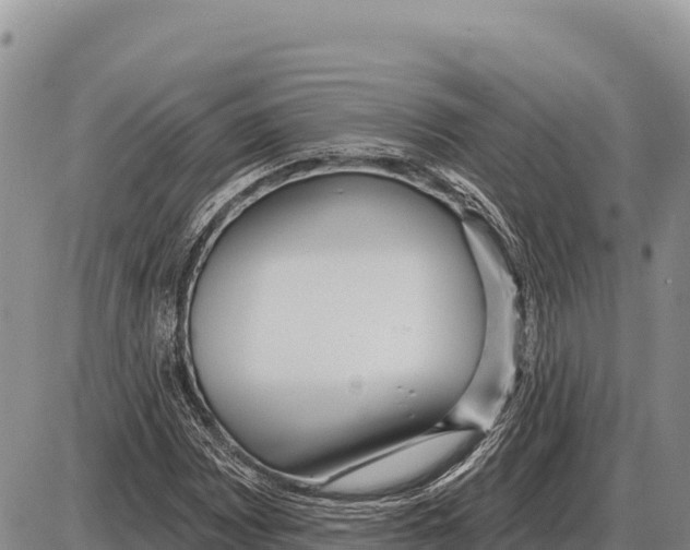 X0000086301065200704271821