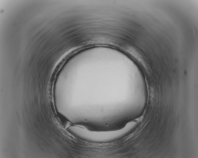 X0000086301068200704271821