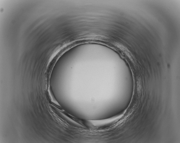 X0000086301069200704271821