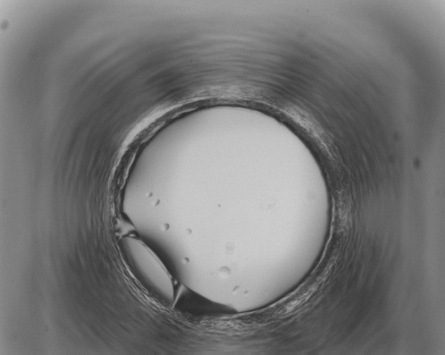 X0000086301070200704271821