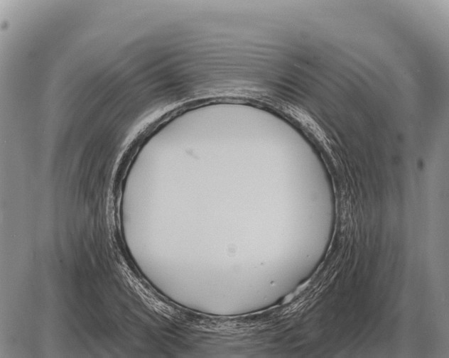 X0000086301072200704271821