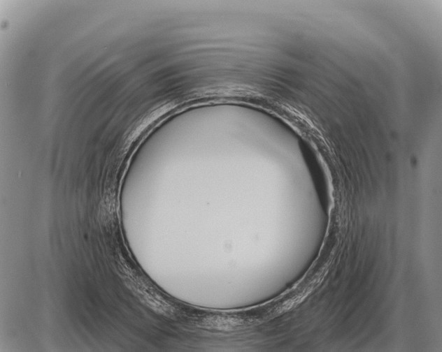 X0000086301073200704271821