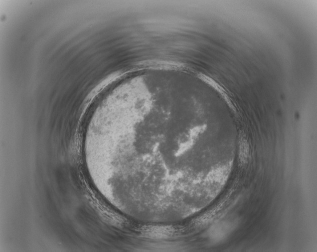 X0000086301074200704271821