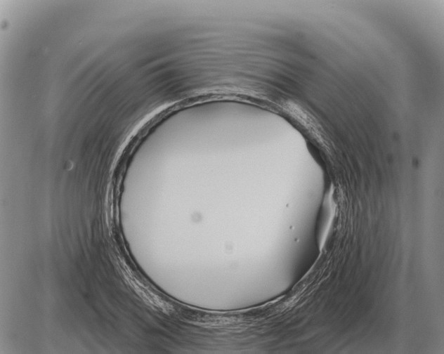 X0000086301076200704271821