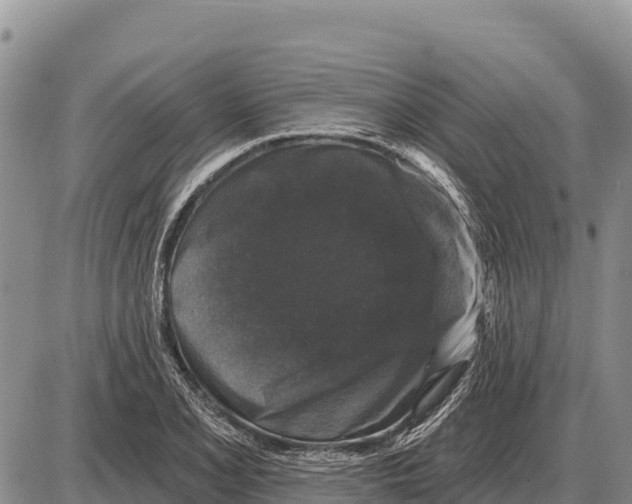 X0000086301077200704271821