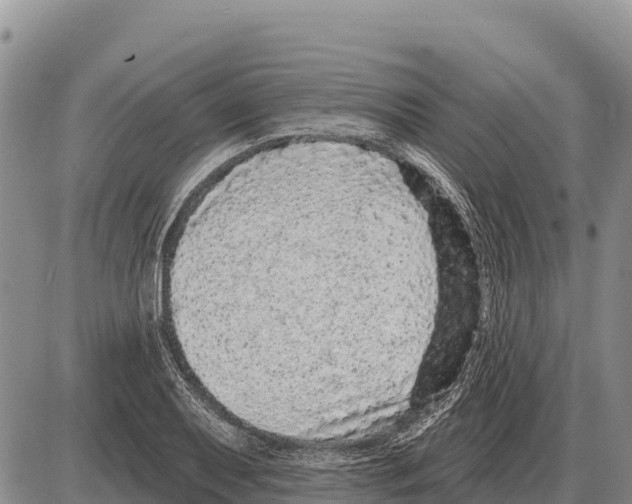 X0000086301079200704271821