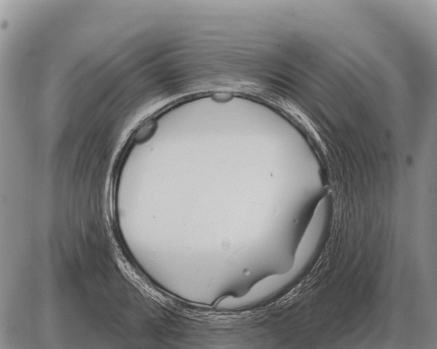 X0000086301080200704271821