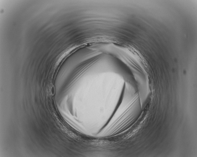 X0000086301081200704271821