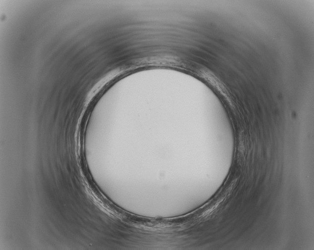 X0000086301082200704271821