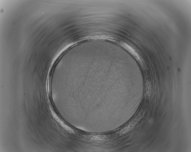 X0000086301084200704271821