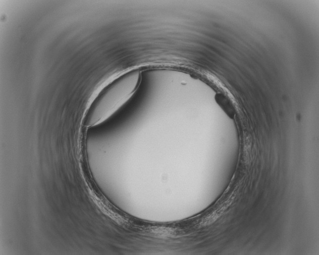 X0000086301085200704271821