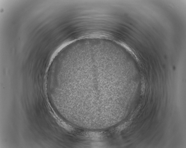 X0000086301086200704271821