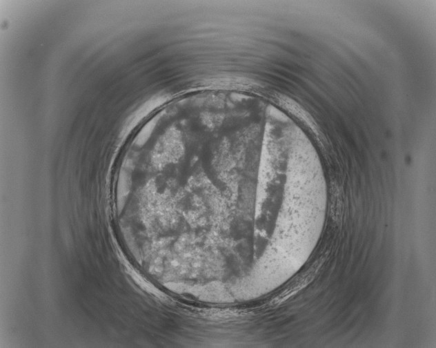 X0000086301087200704271821