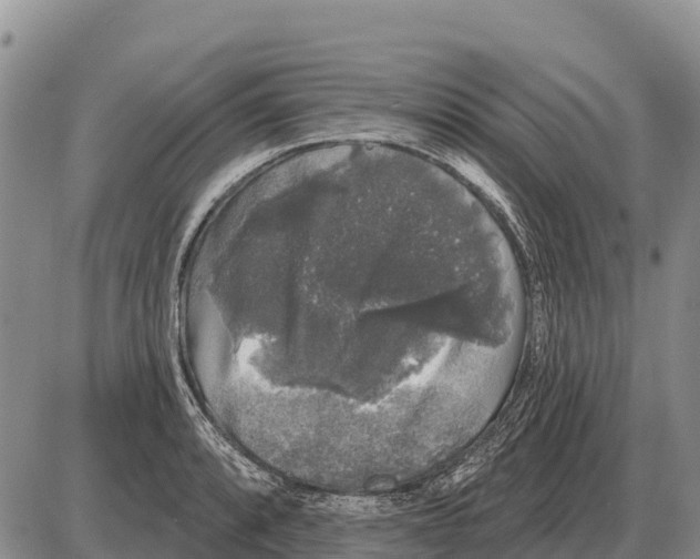 X0000086301088200704271821