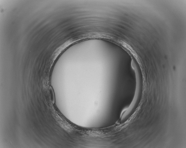 X0000086301089200704271821