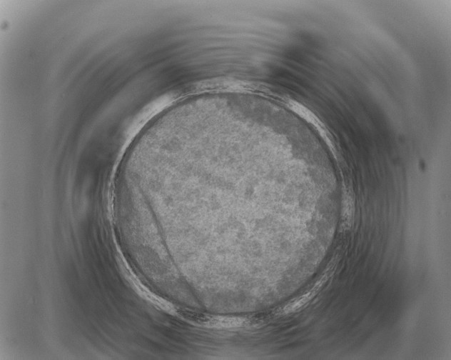 X0000086301090200704271821