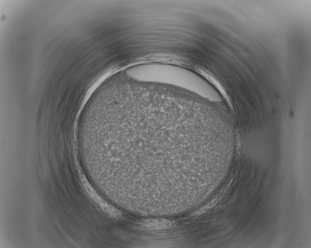 X0000086301091200704271821