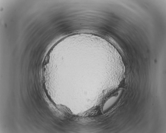 X0000086301092200704271821