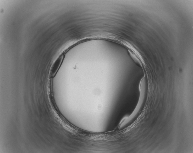 X0000086301093200704271821