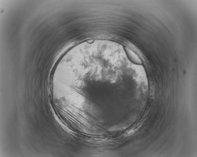 X0000086301095200704271821