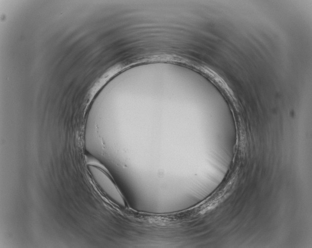 X0000086301097200704271821