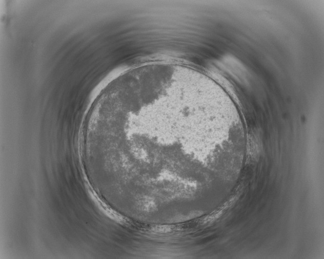 X0000086301098200704271821