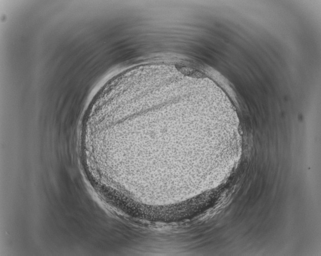 X0000086301099200704271821