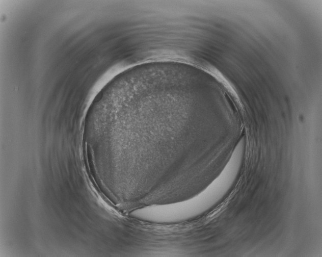 X0000086301102200704271821