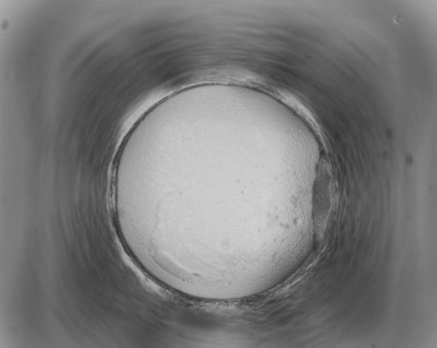 X0000086301103200704271821