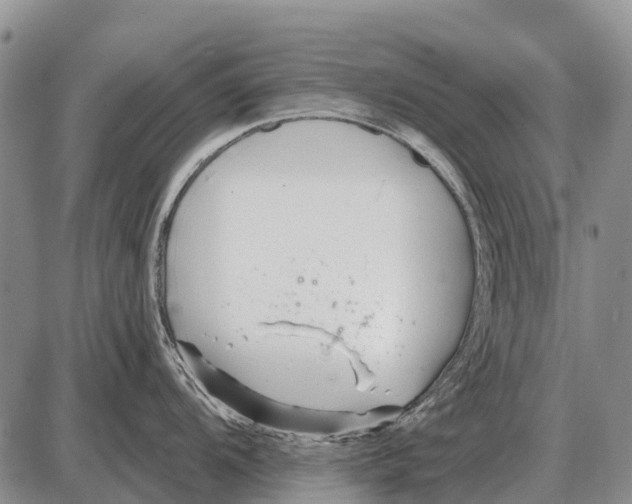 X0000086301104200704271821