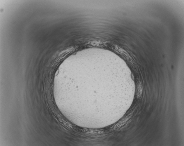 X0000086301105200704271820