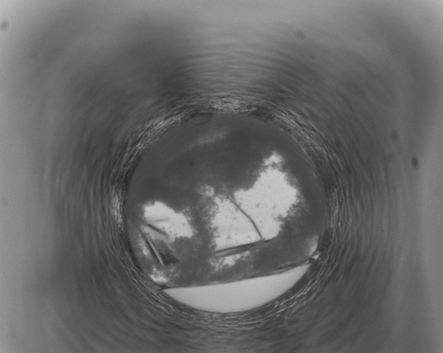 X0000086301106200704271820