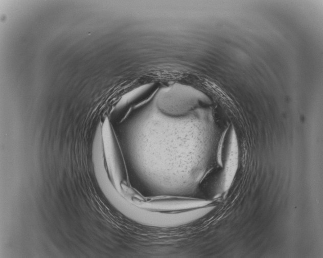 X0000086301108200704271820