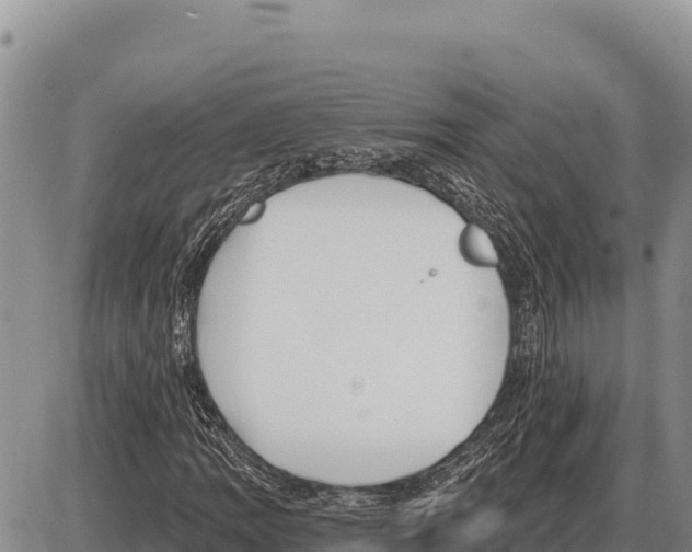 X0000086301109200704271820