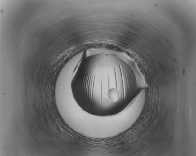 X0000086301110200704271820