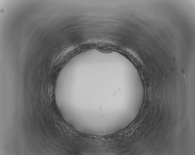 X0000086301111200704271820