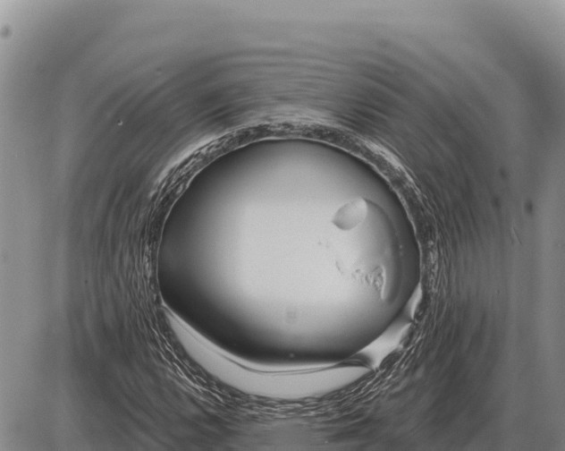 X0000086301112200704271820