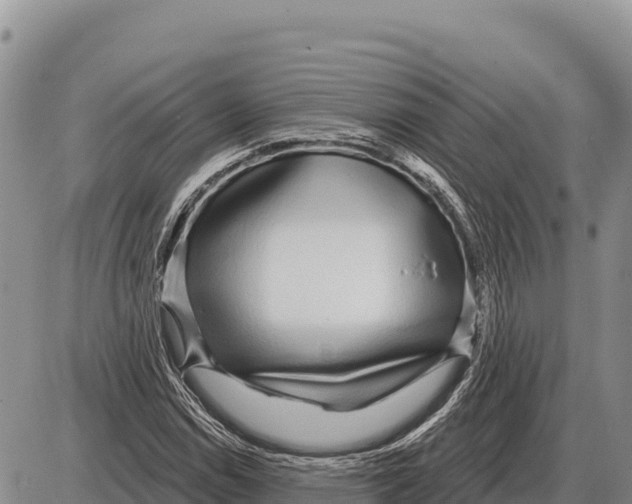 X0000086301114200704271820