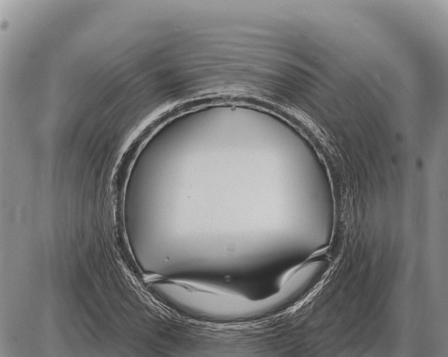 X0000086301118200704271820