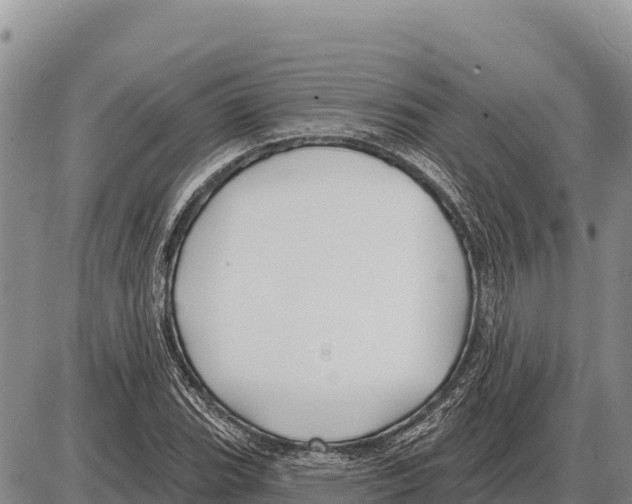 X0000086301119200704271820