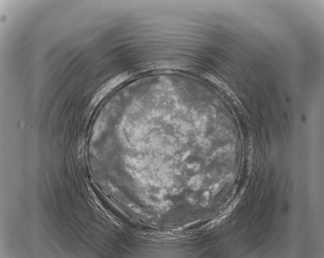 X0000086301121200704271820