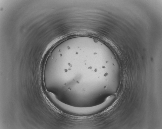 X0000086301122200704271820