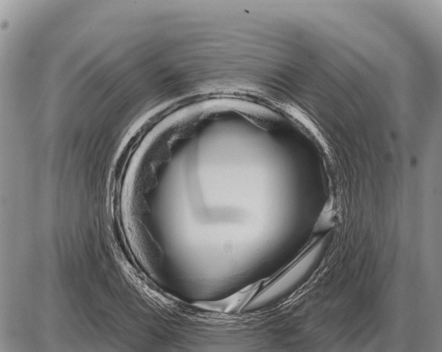 X0000086301124200704271820