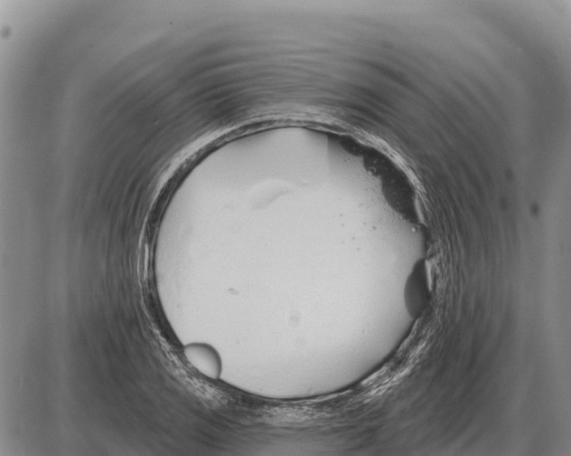 X0000086301125200704271820