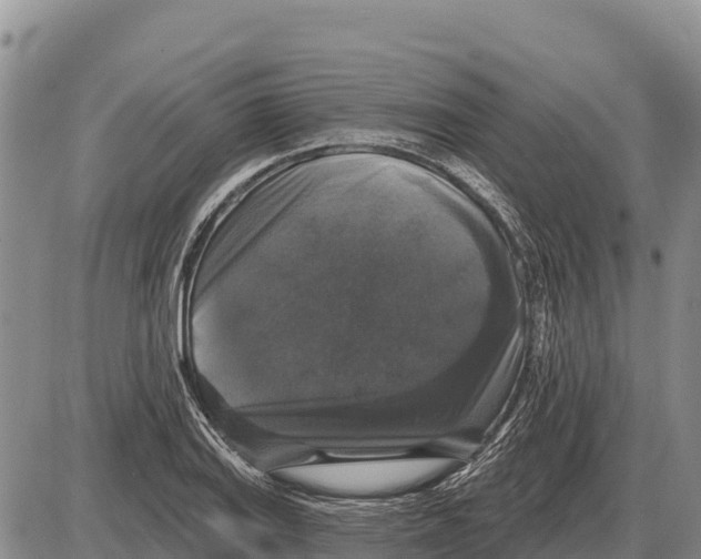 X0000086301127200704271820