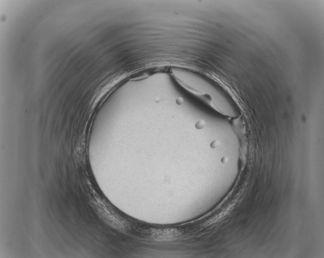 X0000086301129200704271820