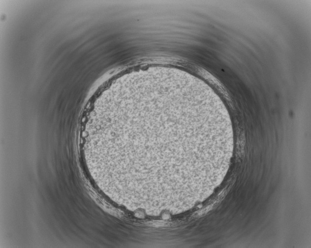 X0000086301130200704271820